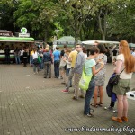 Auf zu Deutschlands größtem veganen Straßenfest: Vegan Street Day Dortmund