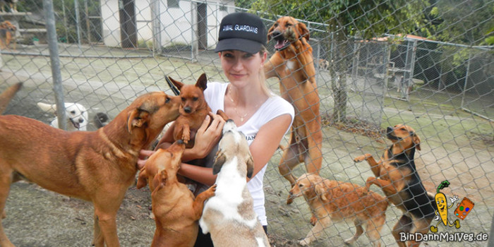 Aleksandra im Tierheim in Costa Rica